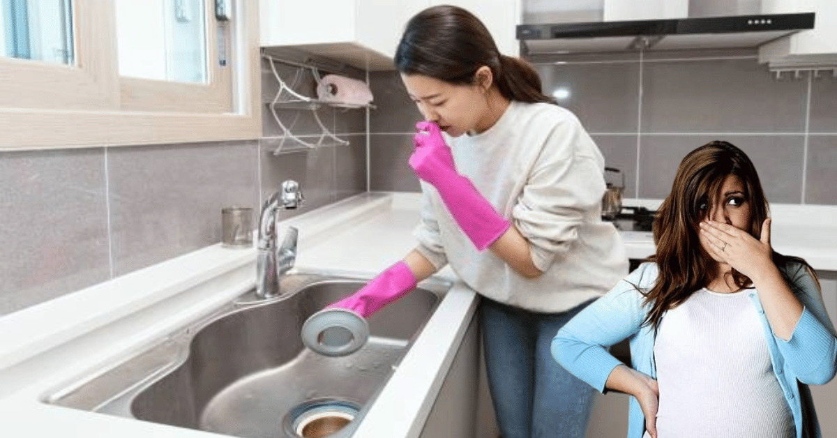 Why Does The Kitchen Sink Drain Smells Bad Kitchen Comfy   The Kitchen Sink Drain Smells Bad 