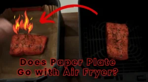 can you put a paper plate in an air fryer featured image for blog post